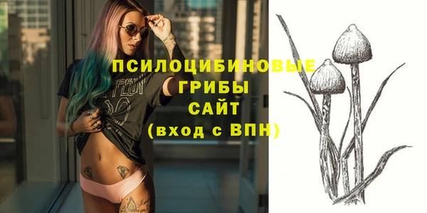 индика Лабытнанги
