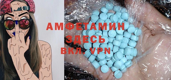 крисы Краснослободск