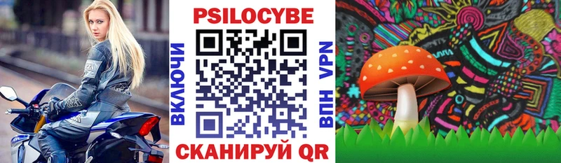 Псилоцибиновые грибы мицелий Комсомольск